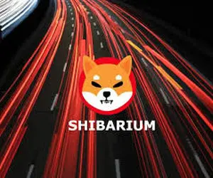 جایزه شگفت انگیز برای کاربران شیبااینو!