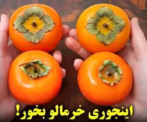 آموزش آشپزی؛ یکبار این با روش خرمالو بخور، انگشتاتم باهاش میخوری!