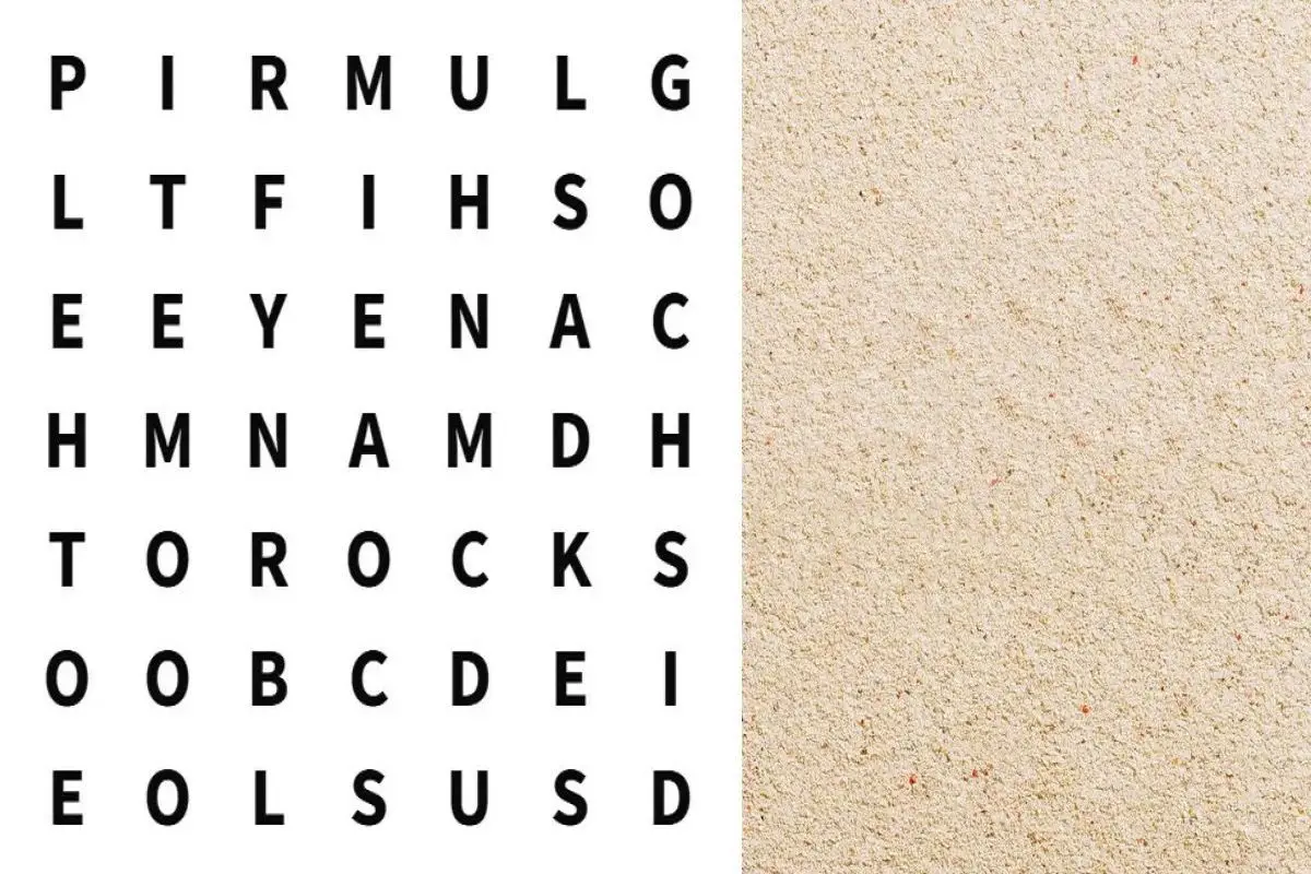 تست-هوش-یافتن-کلمه-DISH