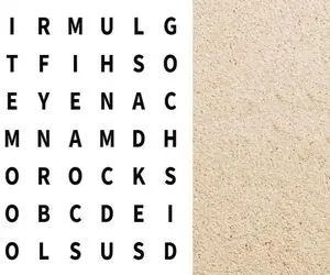 بازی فکری؛ تمام وجودت رو آی کیو فرا گرفته؟ کلمه DISH  رو تو سه سوت پیدا کن بین حروفا