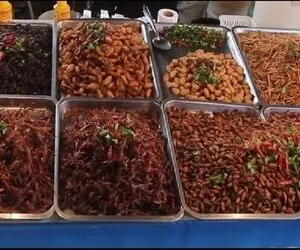 غذاهای خیابانی؛ آقاهه رفته تایلند هرچی جک و جونور رو داره میخوره دل و روده بهم ریخت
