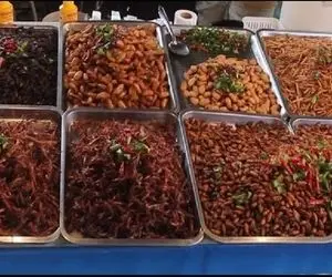 غذاهای خیابانی؛ آقاهه رفته تایلند هرچی جک و جونور رو داره میخوره دل و روده بهم ریخت