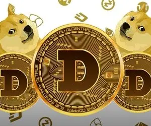 دوج کوین  وارد عرصه ای شگفت انگیز!