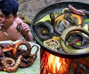 غذای چندش پاکستانی ؛ معلوم نیست کله پاچه کدوم حیوونیه سرو میکنن با آب خورشت خونی