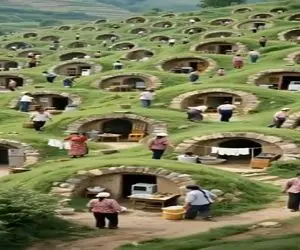 معماری خلاقانه؛ کوهو عین دارکوب سوراخ کردن خونه ساختن اثر هنری شده سیر نمیشی از دیدنش