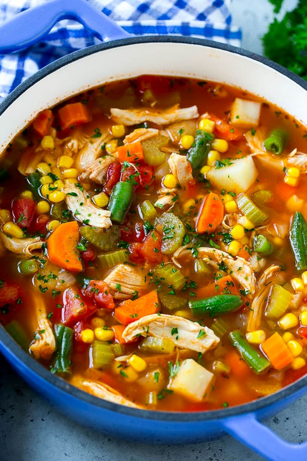 chicken-vegetable-soup-4