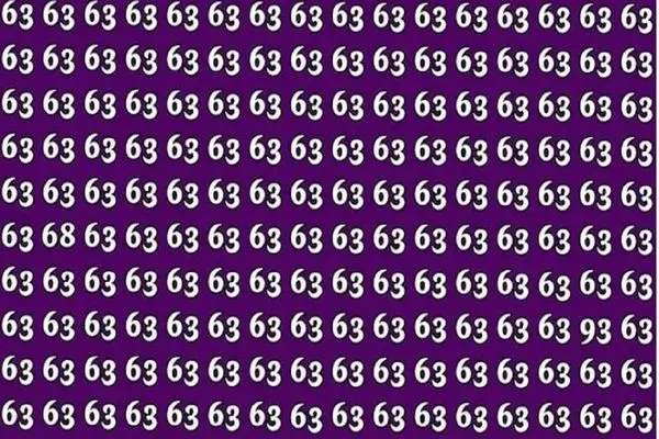 بازی فکری؛ نیم درصد افراد تونستن تو 1 دیقه عددهای 93 و 68 را بین 63 ها پیدا کنن