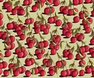 بازی فکری؛ فقط ۲٪ از افراد تیزبین می‌توانند گوجه فرنگی را در ۵ ثانیه تشخیص دهند!