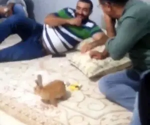 شوخی پسرونه وحشتناک و باحال + ویدیو