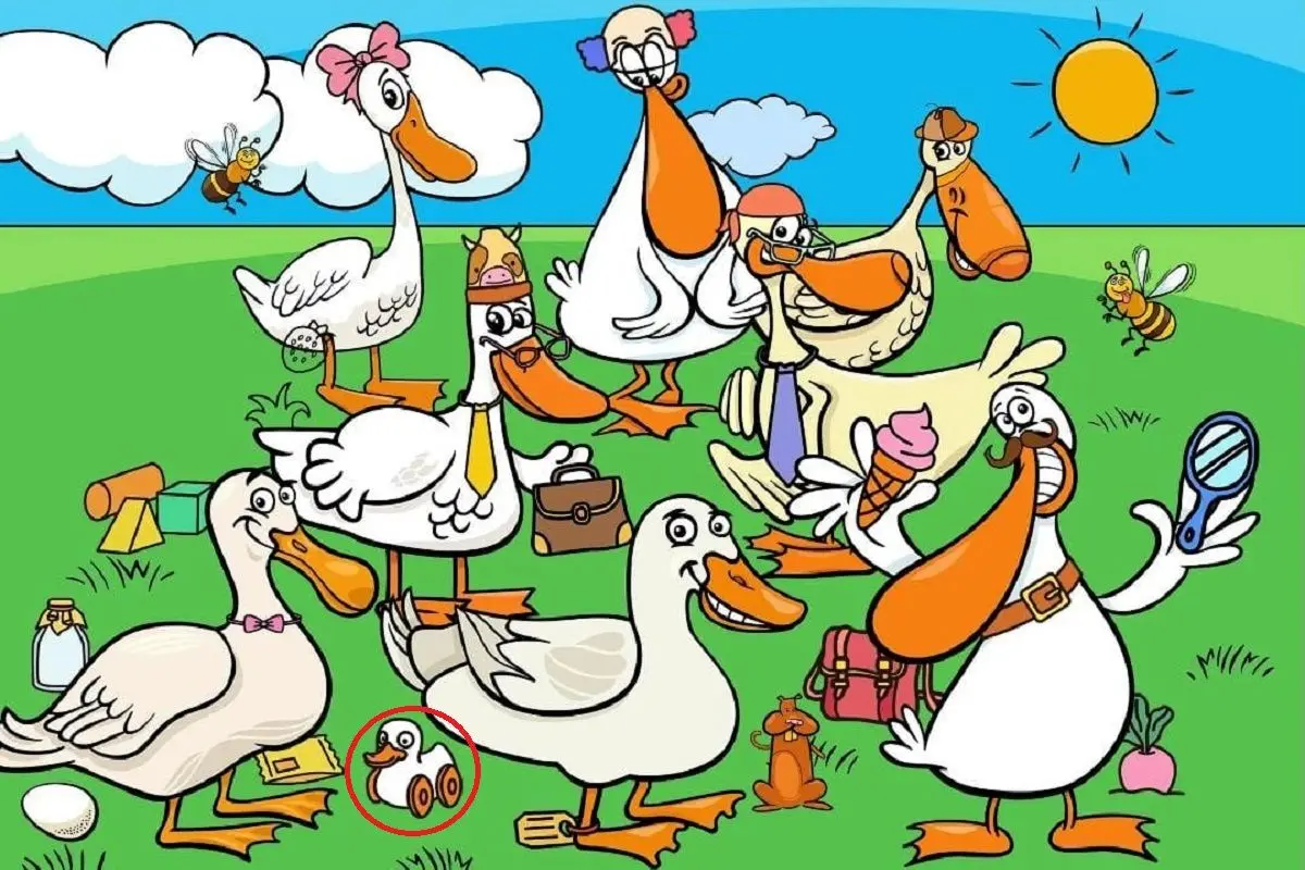 پاسخ-تست-بینایی-یافتن-اردک-اسباب-بازی-بین-اردکها