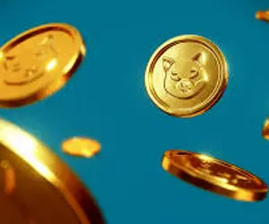 شیبااینو با دست پر ترکوند؟