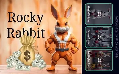 کارت‌های راکی رابیت (ROCKY RABBIT) امروز یکشنبه ۲۵ شهریور ماه + آموزش وارد کردن 