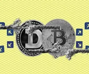 توصیه مهم به دوج کوین و بیت کوین دارها!