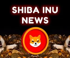 دلیل ریزش شیبااینو اونم یهویی؟