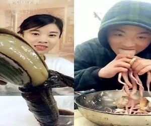 غذای چینی ؛ آقاهه یه عالمه جانور عجیب غریب رو یجور روی آتیش تاب میده آدم دلش میخواد