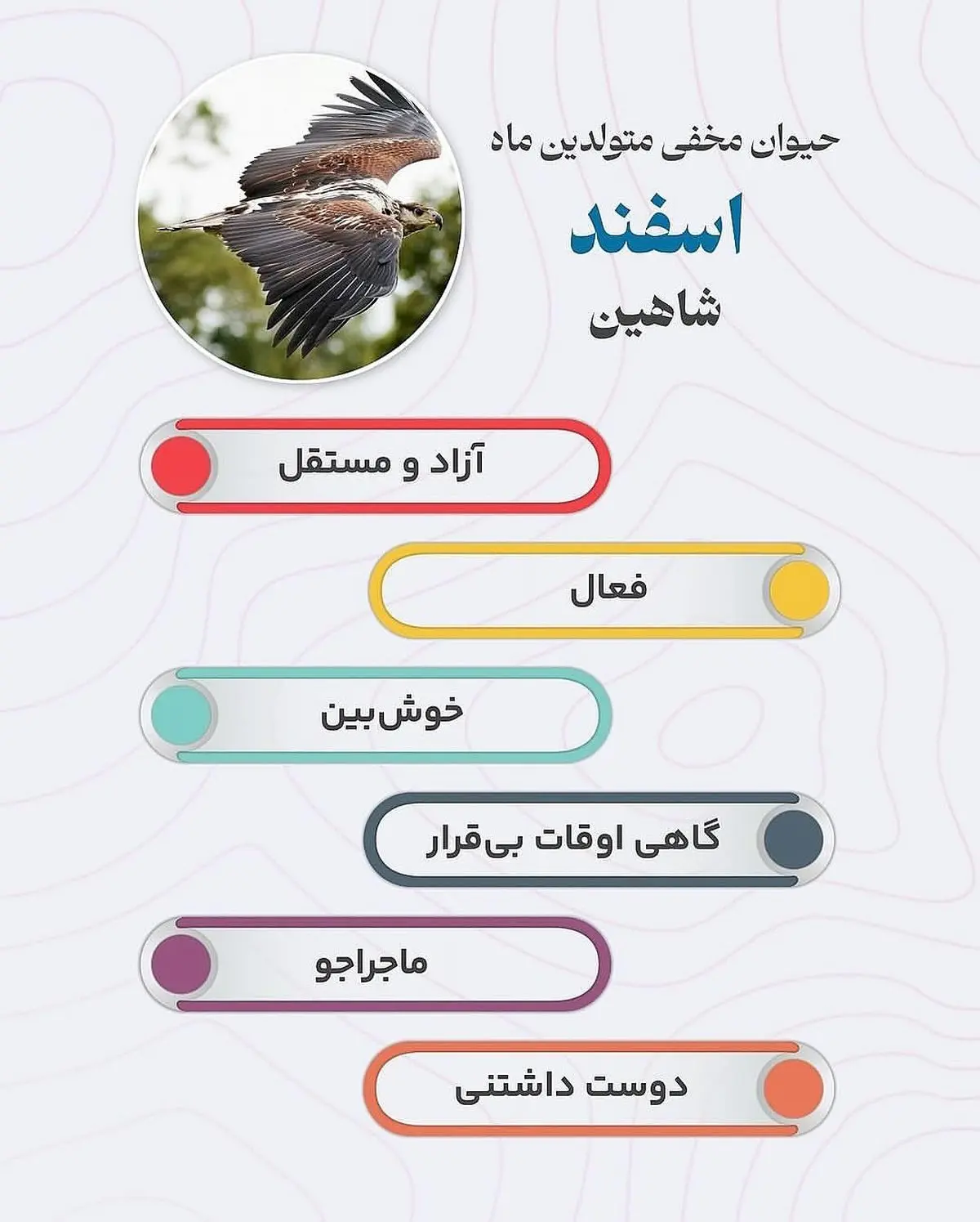 حیوان هر ماه