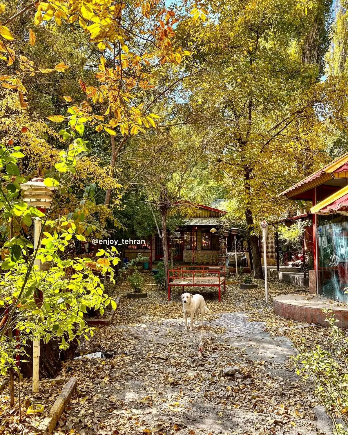 122904266_3997275730300177_481574001579274148_n