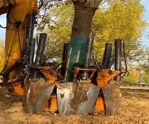 کشاورزی نوین؛ دیگه با زحمت درخت جابجا نمیکنن بیل ماشینی ساختن بدون آسیب ریشه درمیاره