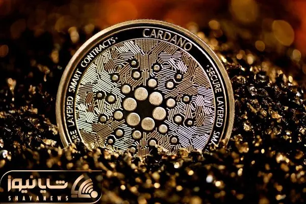 Cardano