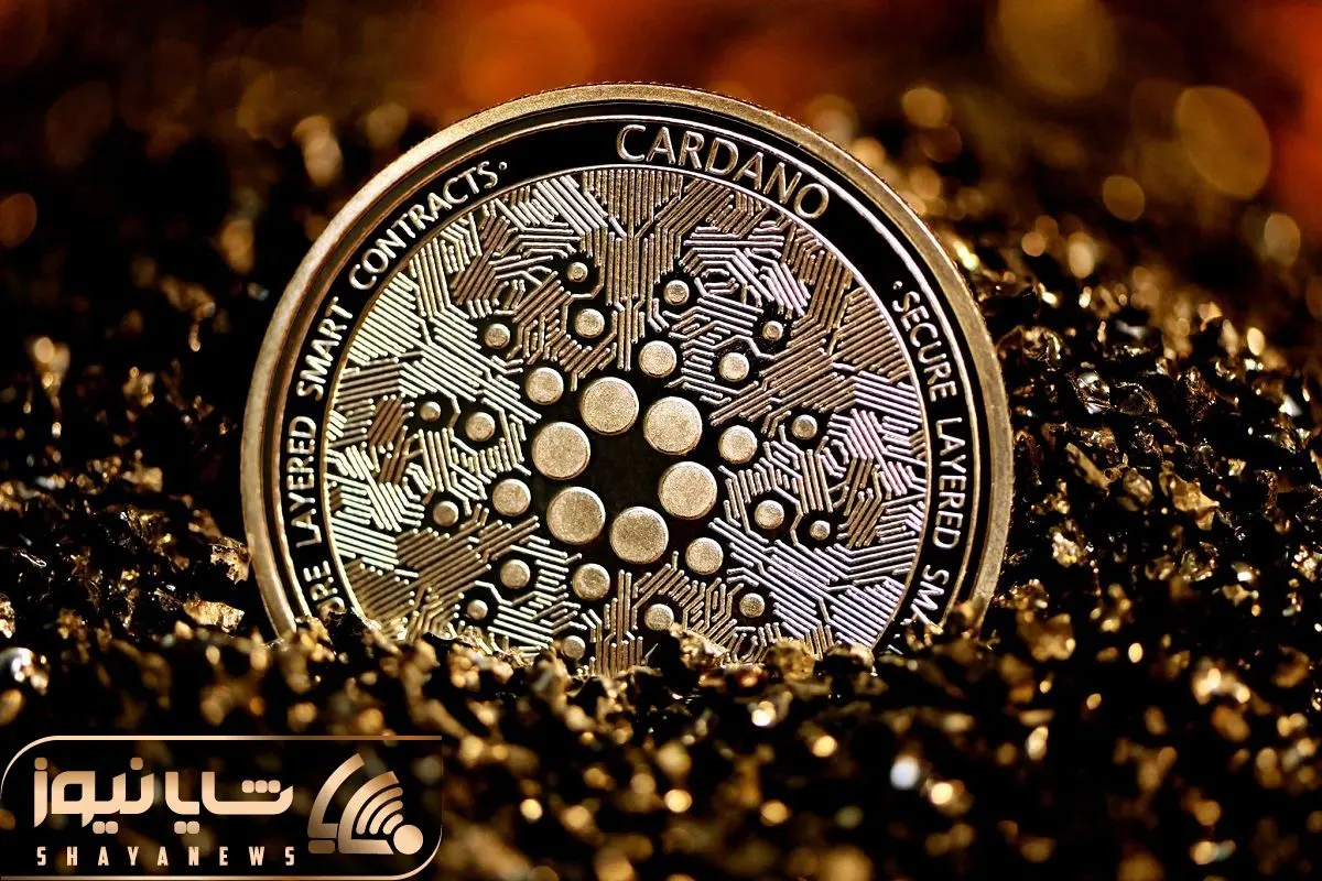 Cardano