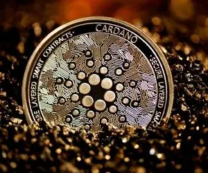 کاردانو قدم بزرگی برداشت؟