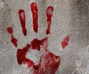 ماجرای قتل بلاگر معروف با همدستی دو بلاگر دیگر!