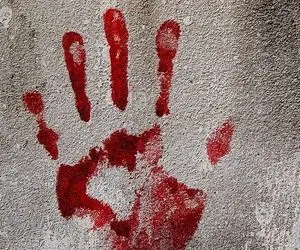 ماجرای قتل بلاگر معروف با همدستی دو بلاگر دیگر!