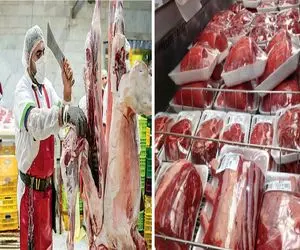 قیمت گوشت امروز سه شنبه 12 خرداد 1405؛ ران گوسفندی چند میلیون شد؟
