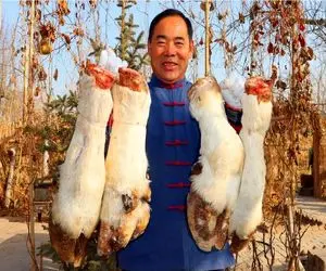 طبخ حیات وحش/عجایب غذای چینی ها تمومی نداره/پخت صدتا خرچنگ و بلع همزمان ان ها