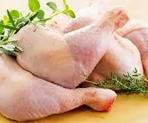 قیمت مرغ گرم امروز سه شنبه 14 بهمن 99