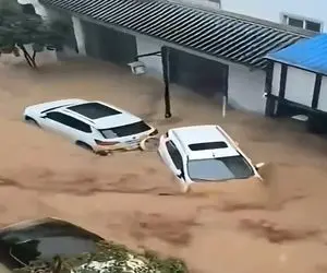 معماری طبیعت؛ سیل ماشینا رو برد اونجا که عرب نی انداخت