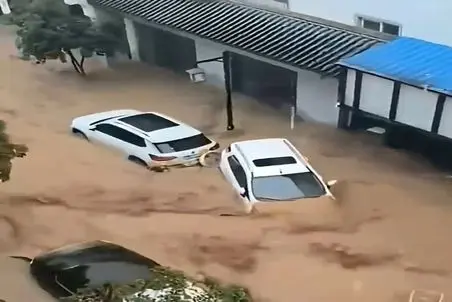 معماری طبیعت؛ سیل ماشینا رو برد اونجا که عرب نی انداخت