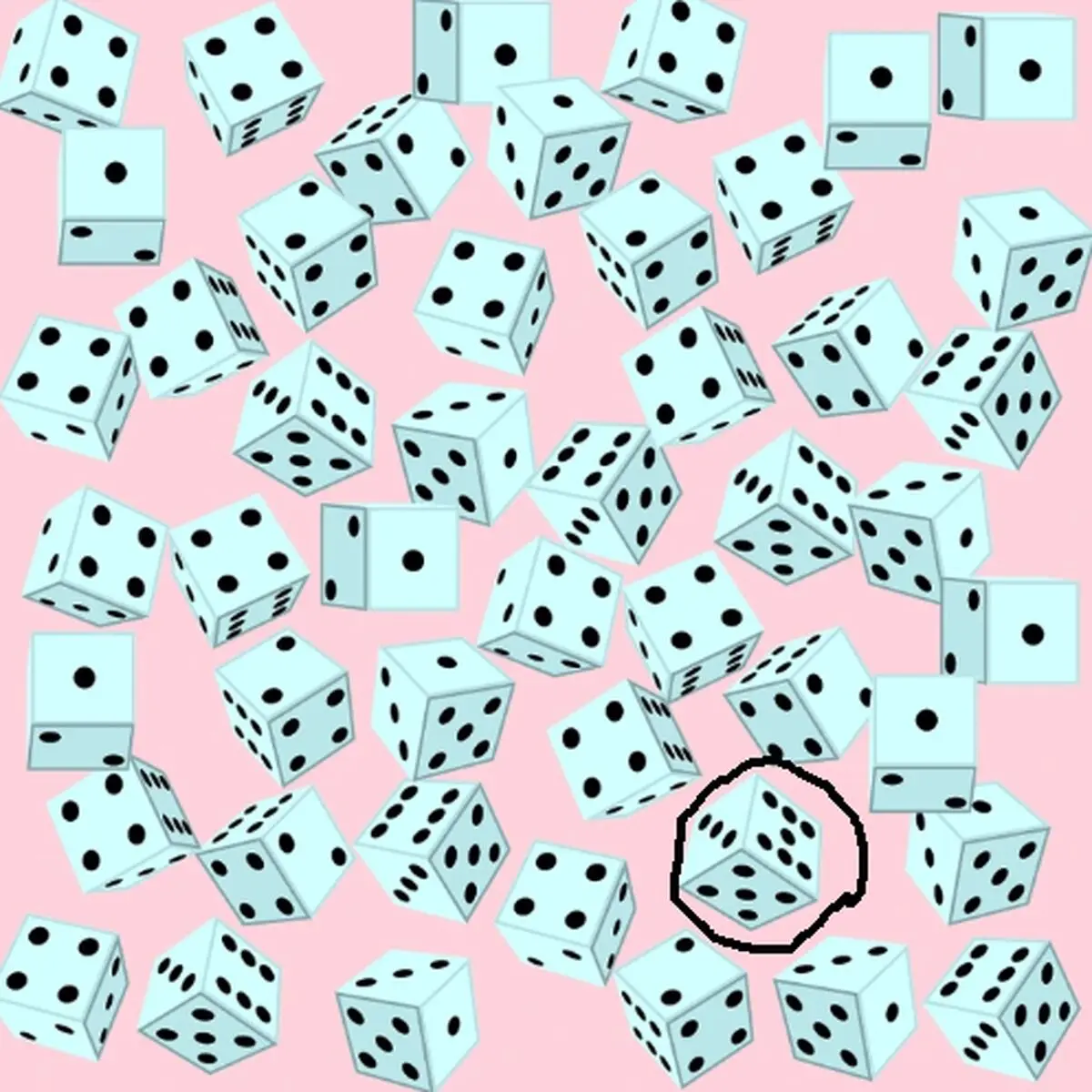 485588557