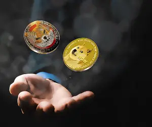 نکته کلیدی برای دارندگان"دوج کوین و شیبا"