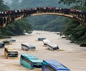 معماری طبیعت؛ بالای پل داشتن به اتوبوسای غرق شده میخندیدن پل ترکید خودشونم غرق شدن
