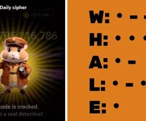 کد مورس همستر کامبت امروز چهارشنبه ۳۱ مردادماه + آموزش