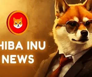 با شیبااینو میتوان به اوج رسید؟