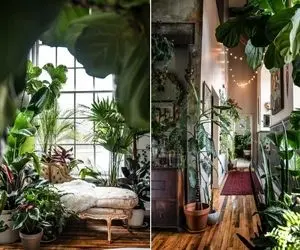 معرفی گیاهان زود رشد با سرعت نور / اینا با هم مسابقه ی کی از همه سریع تره گذاشتن 