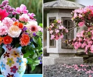 معرفی گیاهان همیشه سبز / خورشید بیاد پایین یا خونت بشه قطب شمال برا اینا فرق نداره