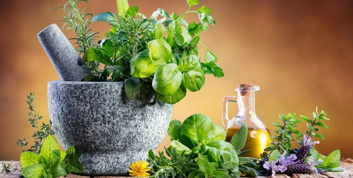 گیاه هایی که برای رشد مو خوب است