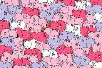 بازی فکری؛ بین فیل های قلمبه یه قلب پنهون شده نوادگان نابغه ها جواب بدن