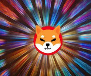 چطور برگ برنده شیبااینو رابه دست بگیریم؟!