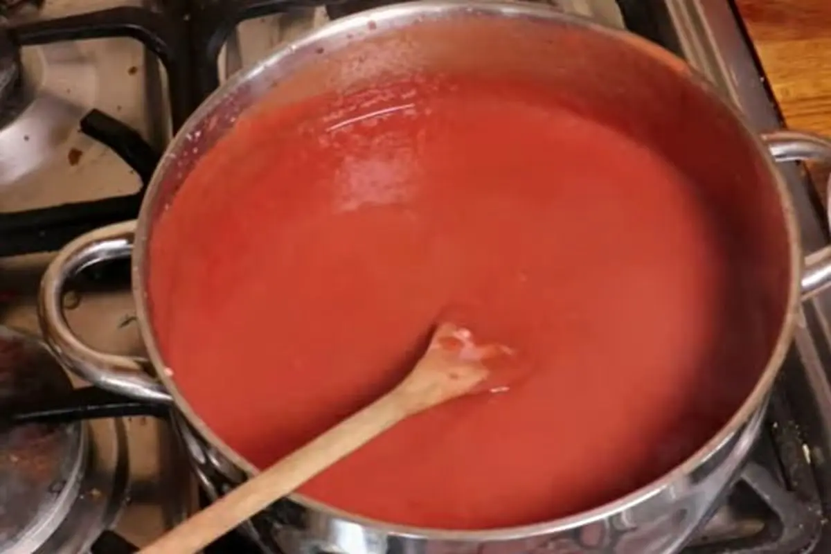 مایه-لواشک-آماده