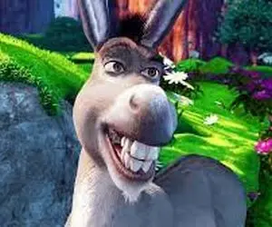 تعبیرخواب الاغ در خواب،سوارشدن بر الاغ در خواب