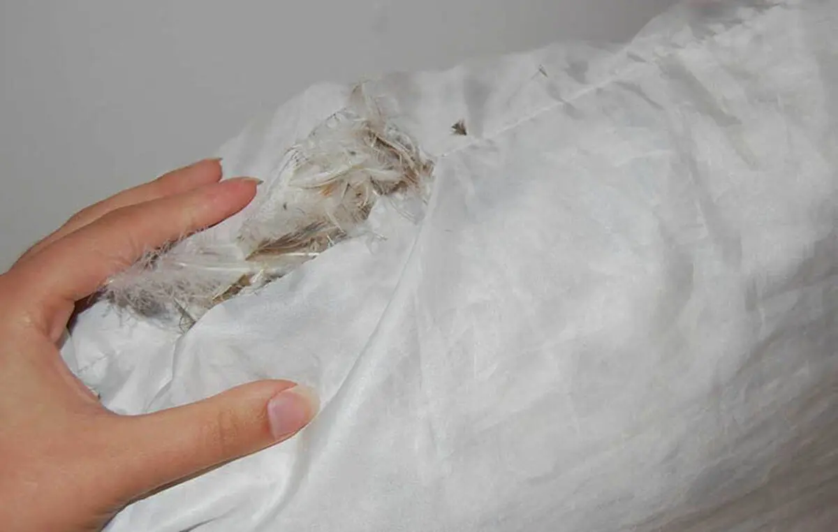 Washing-feather-pillows-02