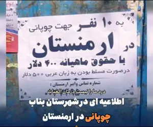 12 میلیون حقوق برای چوپانی ایرانی ها در ارمنستان!