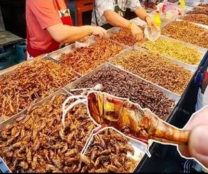 غذاهای چندش؛ لامصبا هرچی دستشون میاد سرخ میکنن ملت صف کشیدن برای حشرات فقط ملخ گریلی