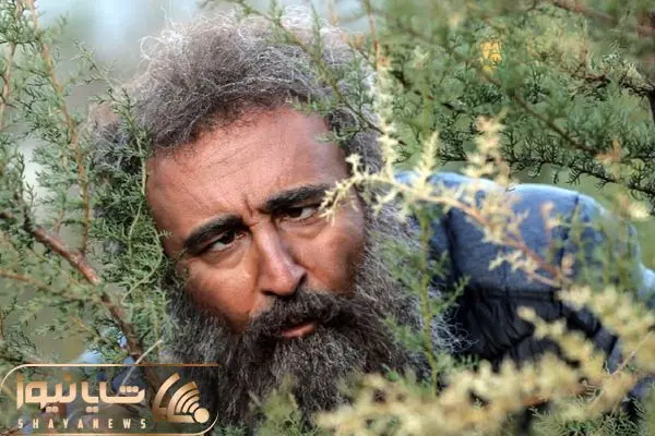 سریال پایتخت