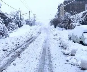 بارش ۵ سانتی‌متری برف در زاهدان؛ نصرت‌آباد پس از ۱۲ سال سفیدپوش شد