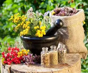 دمنوش برای هر نقطه ای از بدن؛ دمنوش های گیاهی درمانگر که هرگز نادیده نگیرید!